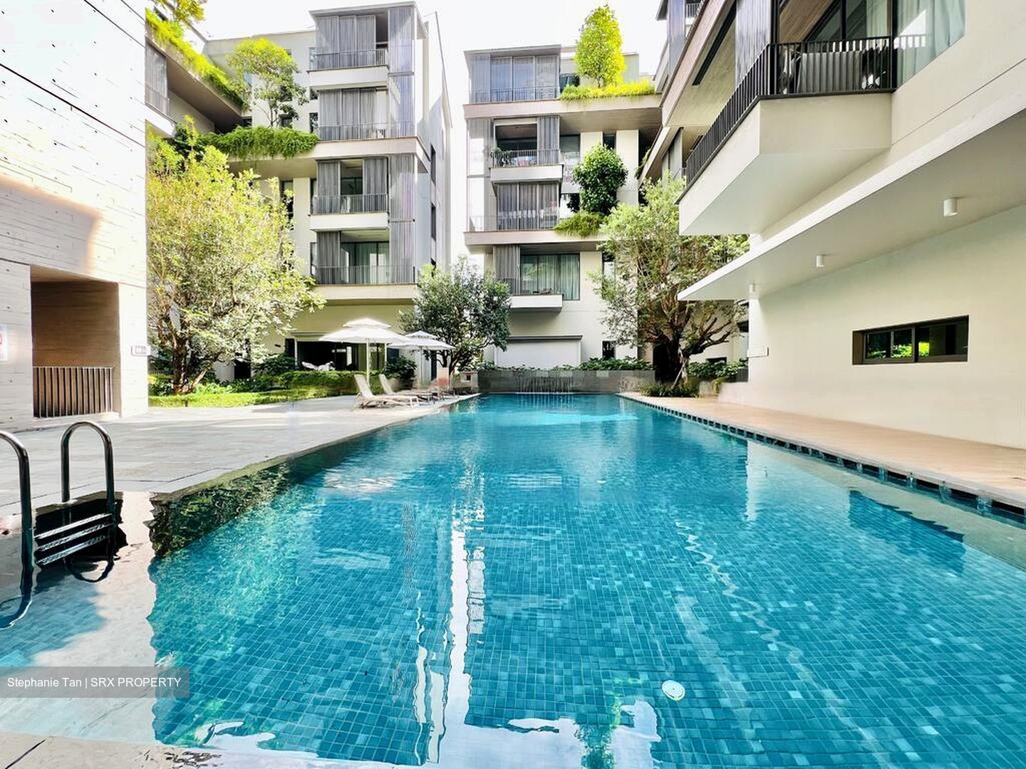 10 Evelyn (D11), Apartment #450472341